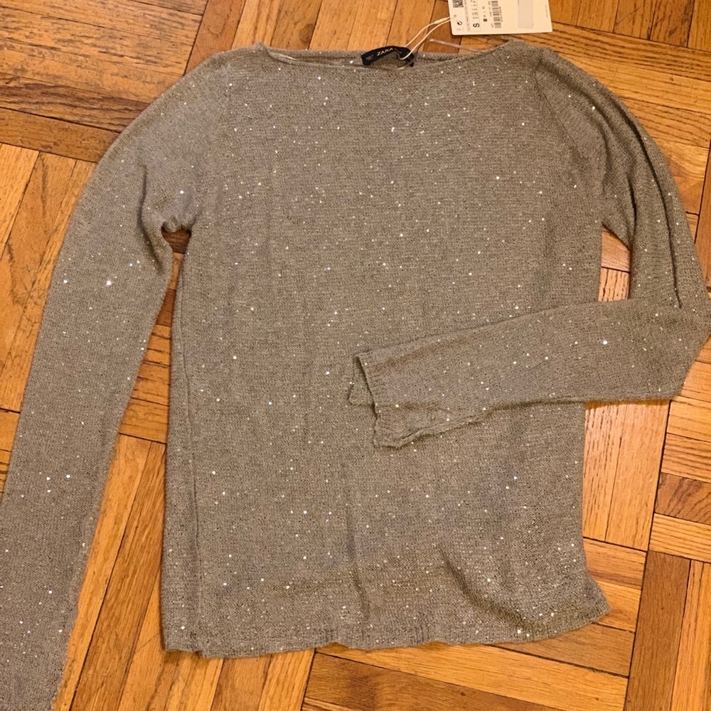 Sequin Zara Long sleeve top